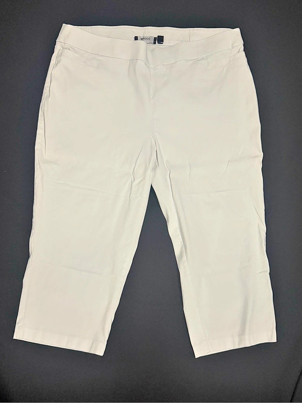 Briggs Ankle Pants in White Size 18W